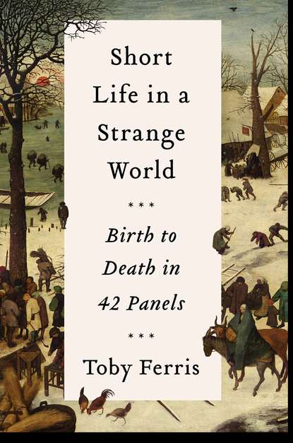 Toby Ferris - Short Life in a Strange World: Birth to Death in 42 Panels
