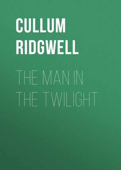 Cullum Ridgwell - The Man in the Twilight