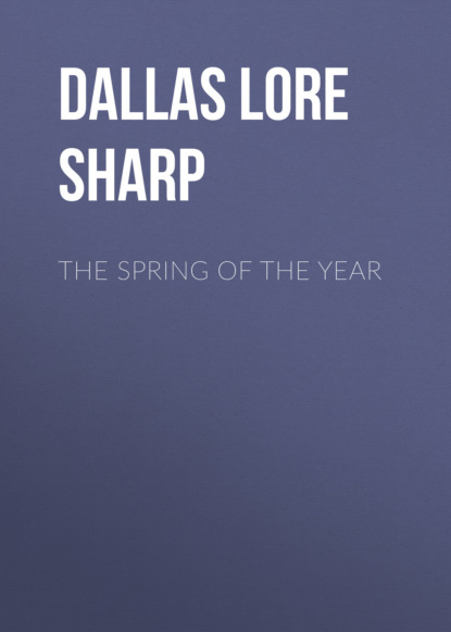 Dallas Lore Sharp - The Spring of the Year