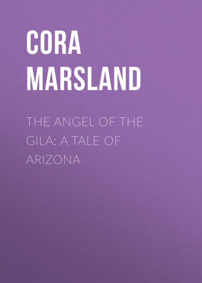 

The Angel of the Gila: A Tale of Arizona