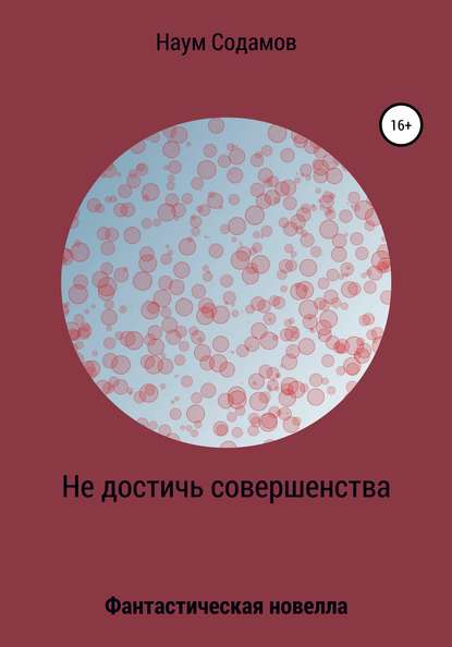 Не достичь совершенства - Наум Содамов