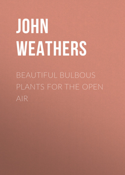 

Beautiful Bulbous Plants for the Open Air