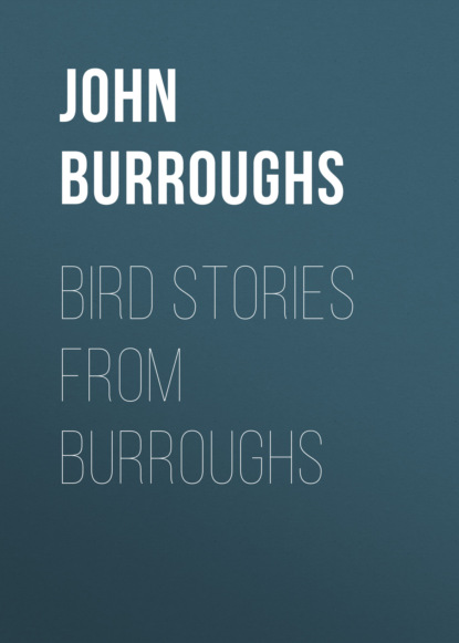 John Burroughs - Bird Stories from Burroughs