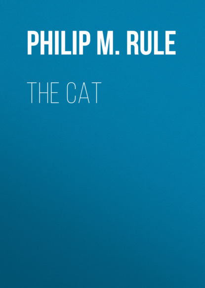 

The Cat