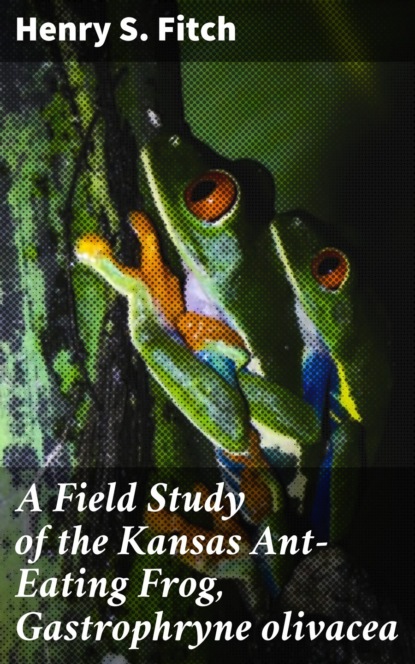 

A Field Study of the Kansas Ant-Eating Frog, Gastrophryne olivacea