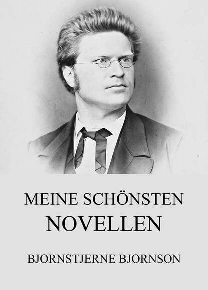 Bjørnstjerne Bjørnson - Meine schönsten Novellen