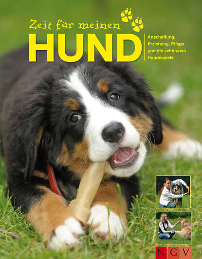 Zeit für meinen Hund (Jennifer  Willms). 