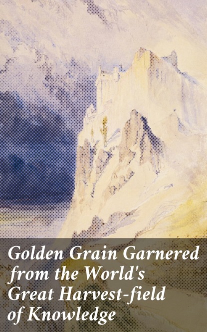 The golden grain. Golden Grains.