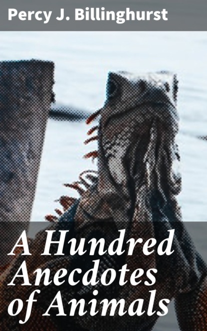 

A Hundred Anecdotes of Animals