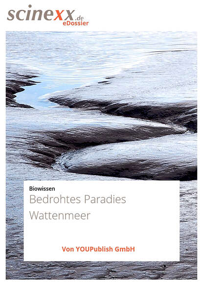 Ute Schlotterbeck - Bedrohtes Paradies Wattenmeer