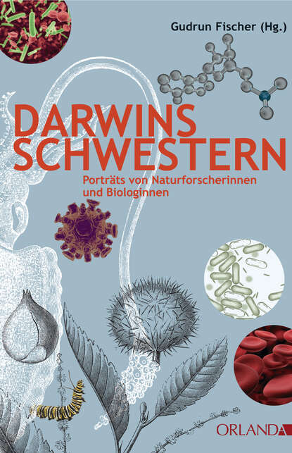 Группа авторов - Darwins Schwestern
