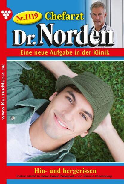 Patricia Vandenberg - Chefarzt Dr. Norden 1119 – Arztroman