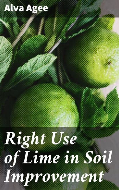 

Right Use of Lime in Soil Improvement