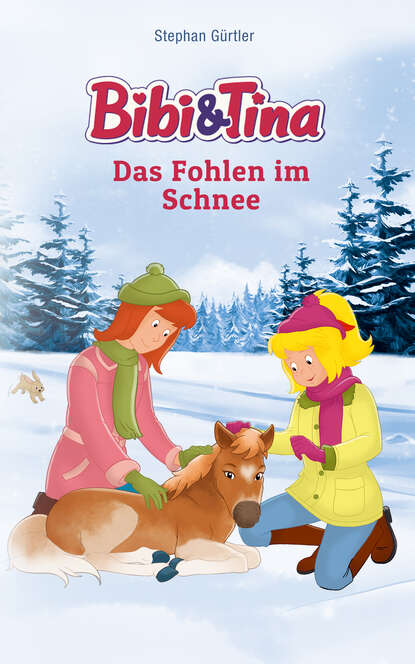 Stephan Gürtler - Bibi & Tina - Das Fohlen im Schnee