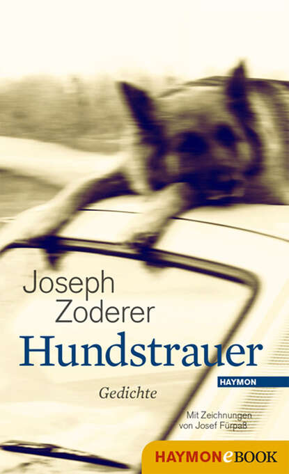 Joseph  Zoderer - Hundstrauer