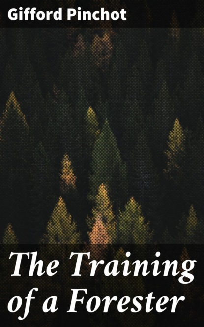 

The Training of a Forester