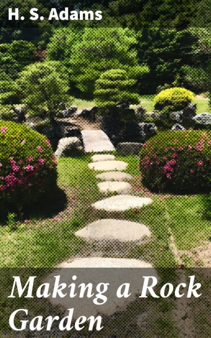 

Making a Rock Garden