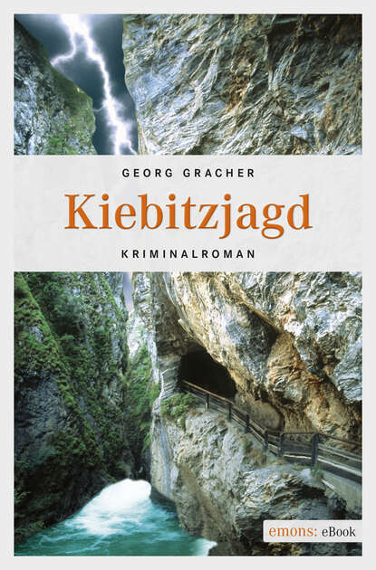 

Kiebitzjagd