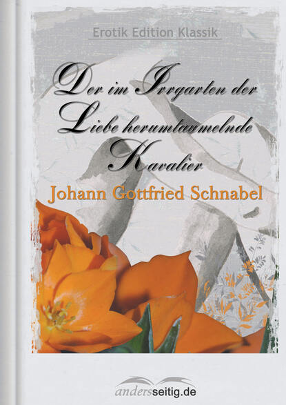 Johann Gottfried  Schnabel - Der im Irrgarten der Liebe herum taumelnde Kavalier