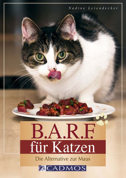 Nadine Leiendecker - B.A.R.F. für Katzen