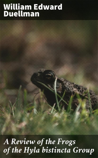 

A Review of the Frogs of the Hyla bistincta Group