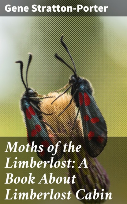 Stratton-Porter Gene - Moths of the Limberlost: A Book About Limberlost Cabin