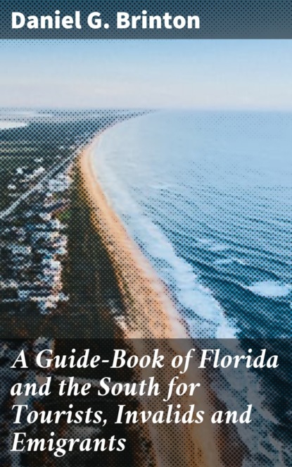 Daniel G. Brinton - A Guide-Book of Florida and the South for Tourists, Invalids and Emigrants