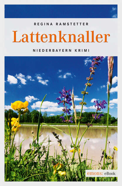 

Lattenknaller
