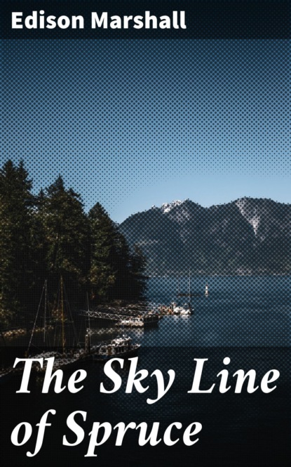 

The Sky Line of Spruce