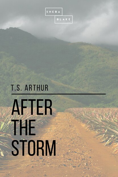 

After the Storm