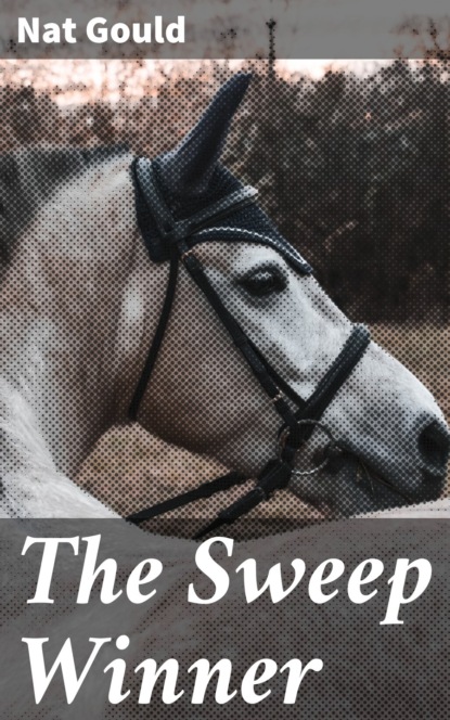 

The Sweep Winner