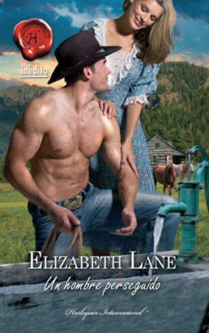 Elizabeth Lane - Un hombre perseguido