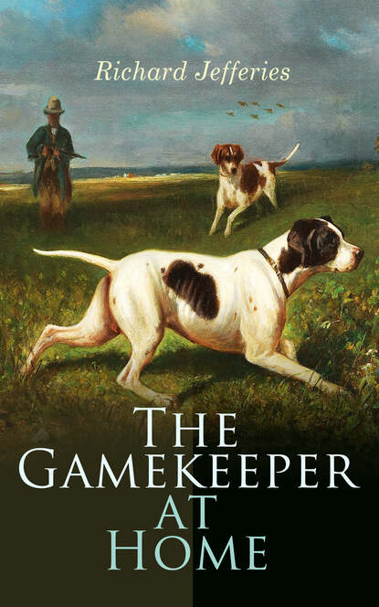 Richard Jefferies — The Gamekeeper at Home