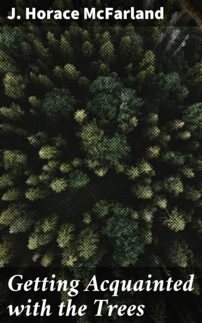 

Getting Acquainted with the Trees