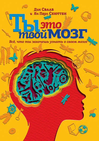 Дик Свааб - Ты это твой мозг: Всё, что ты захочешь узнать о своем мозге