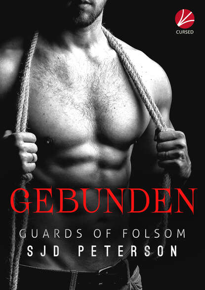 

Guards of Folsom: Gebunden