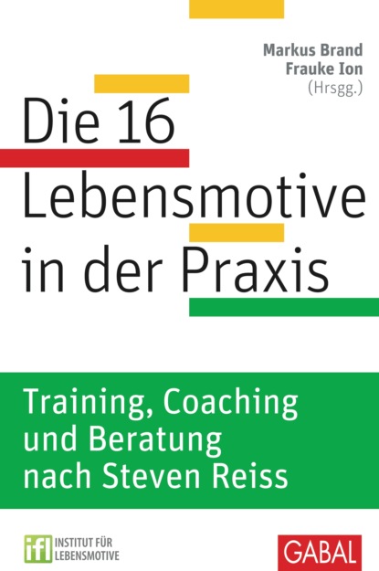 Группа авторов - Die 16 Lebensmotive in der Praxis