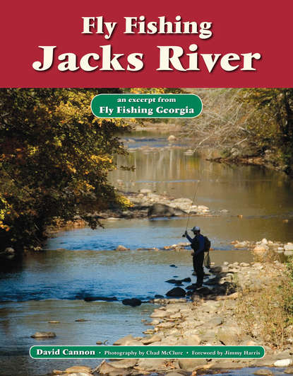 David Cannon L. - Fly Fishing Jacks River