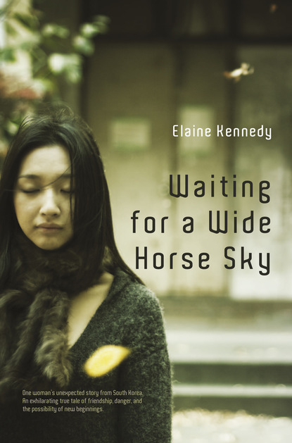 

Waiting for a Wide Horse Sky