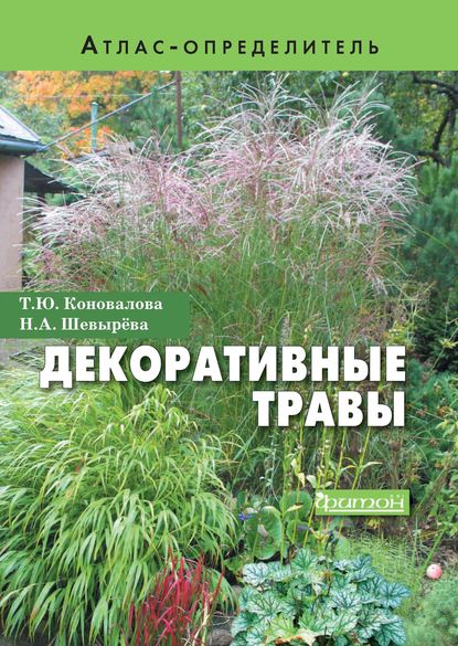 Татьяна Коновалова — Декоративные травы