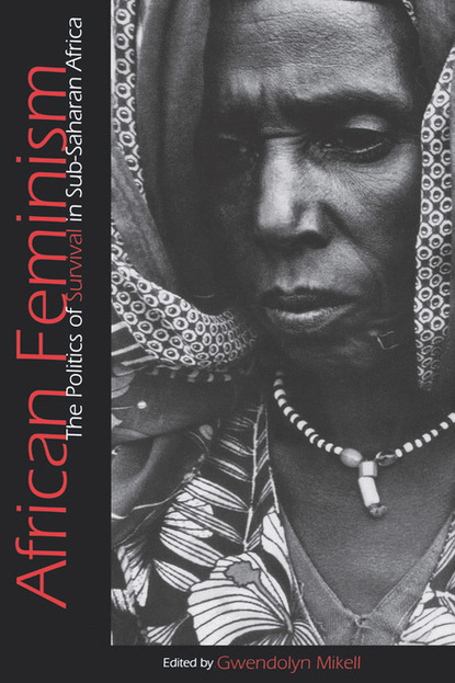 

African Feminism