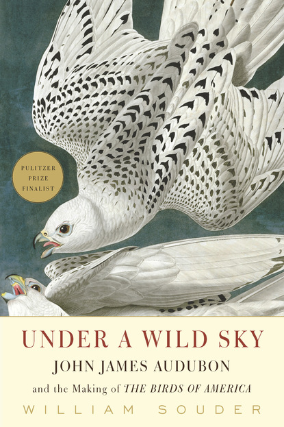 

Under a Wild Sky
