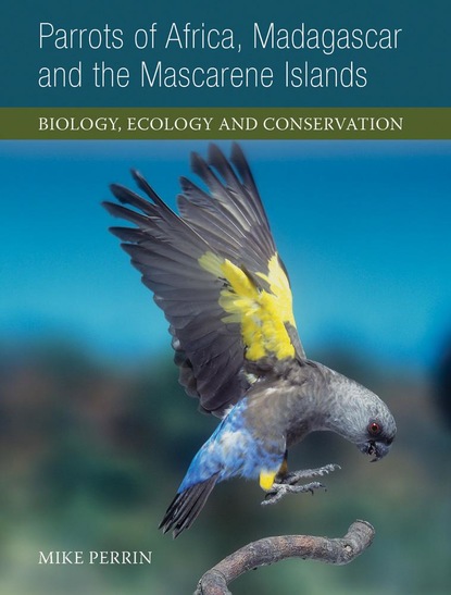 

Parrots of Africa, Madagascar and the Mascarene Islands