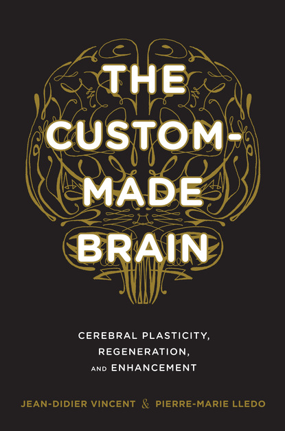 Jean-Didier Vincent - The Custom-Made Brain