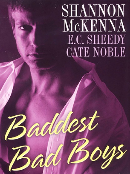 Shannon McKenna - Baddest Bad Boys