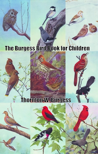 Thornton Burgess - The Burgess Bird Book for Children