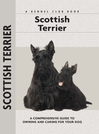 Muriel P. Lee - Scottish Terrier