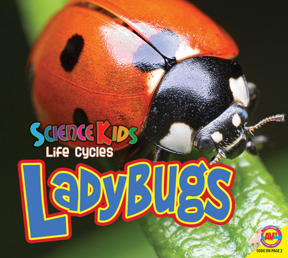 

Ladybugs