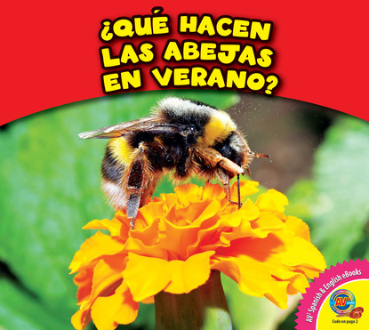 Rebecca Felix - ¿Qué hacen las abejas en verano?