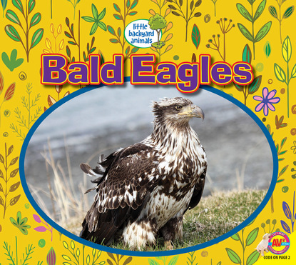 

Bald Eagles